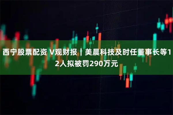 西宁股票配资 V观财报｜美晨科技及时任董事长等12人拟被罚290万元